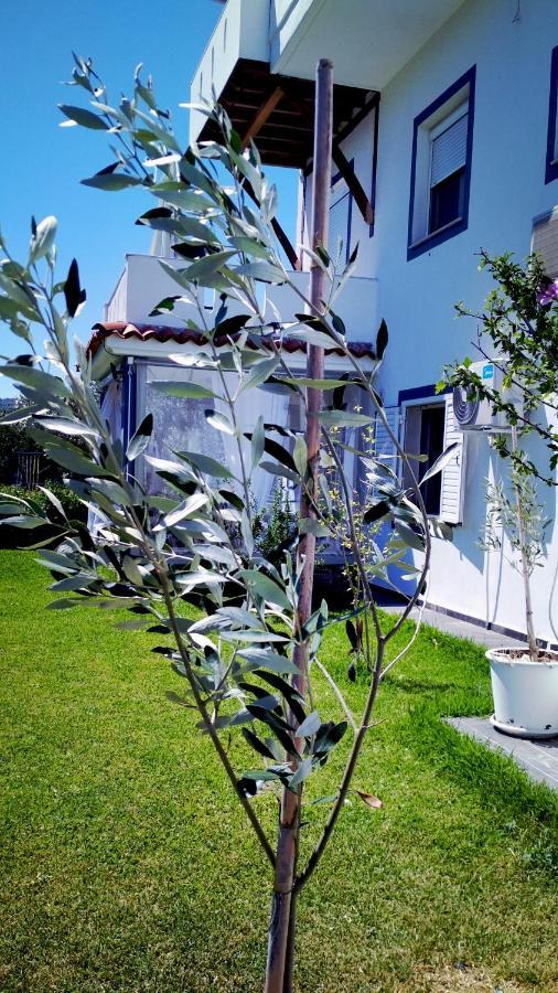 Zephyros Family Apartments 1 أورموس باناجياس المظهر الخارجي الصورة